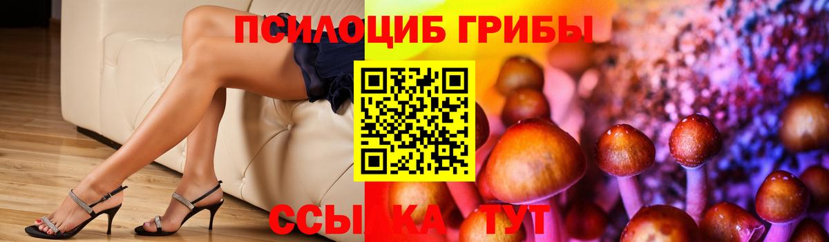 Псилоцибиновые грибы Magic Shrooms Горячий Ключ